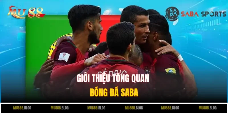 Bóng đá SABA mu88