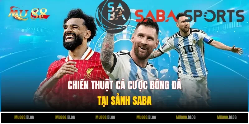 Chiến thuật cá cược bóng đá tại sảnh SABA