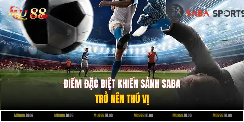 Điểm đặc biệt khiến sảnh SABA trở nên thú vị