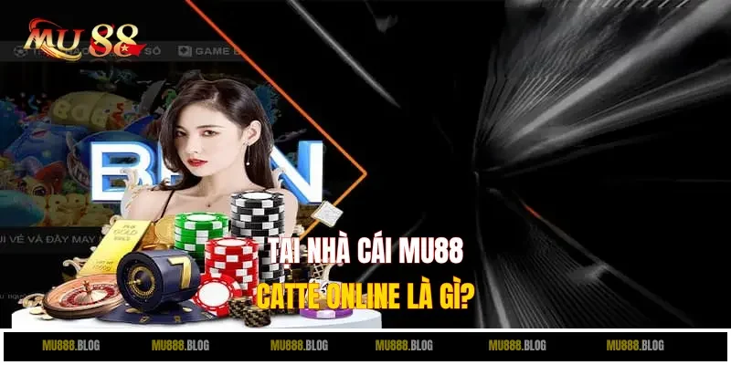Catte Online là gì?