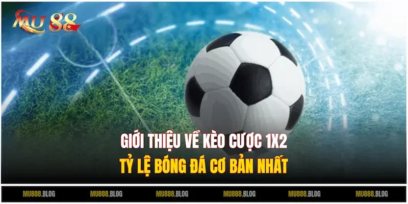 Tìm hiểu kèo cược 1x2 trong cá độ bóng đá