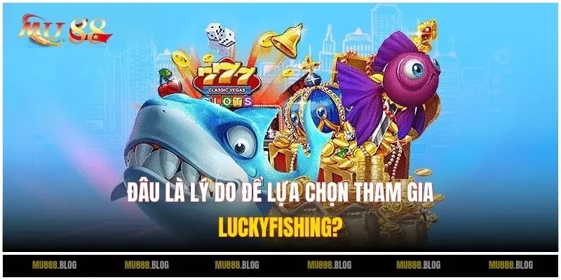 Đâu là lý do để lựa chọn tham gia LuckyFishing?