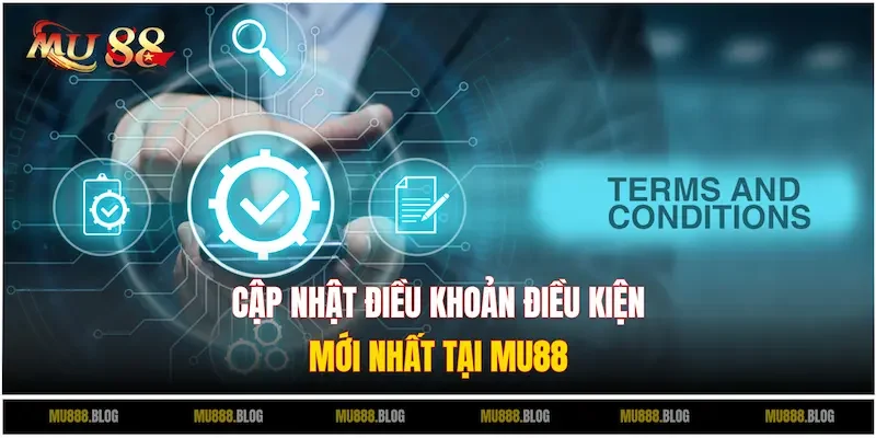 Điều khoản điều kiện tại nhà cái cập nhật mới nhất cho hội viên