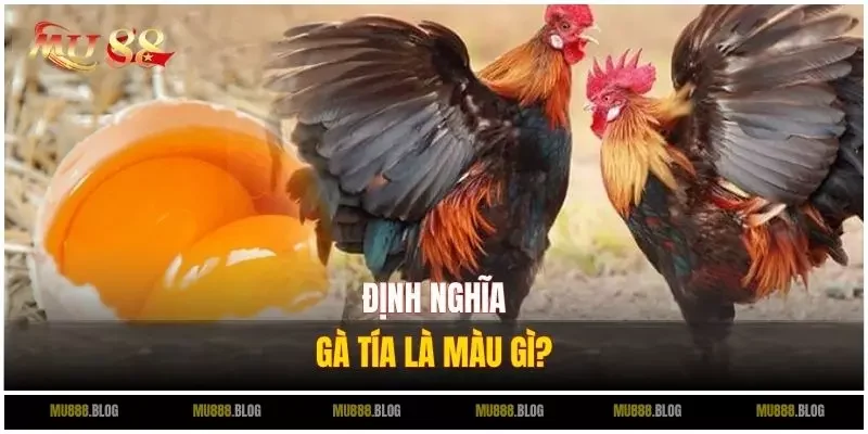 Định nghĩa gà tía là màu gì?