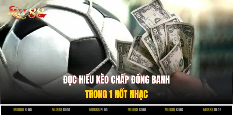 Đọc hiểu kèo chấp đồng banh trong 1 nốt nhạc
