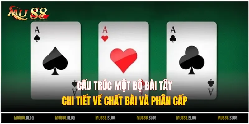 Tìm hiểu chi tiết về cấu trúc một bộ Bài Tây chuẩn