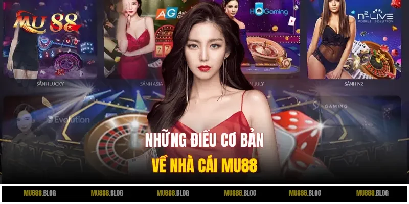 Những điều cơ bản về nhà cái