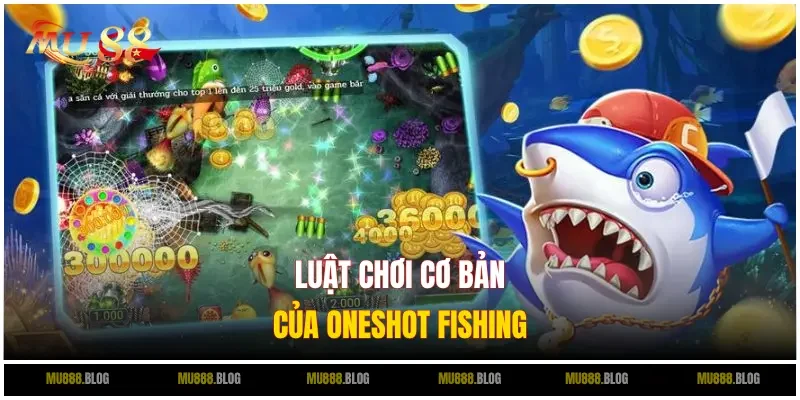 Những quy tắc cơ bản trong Oneshot Fishing