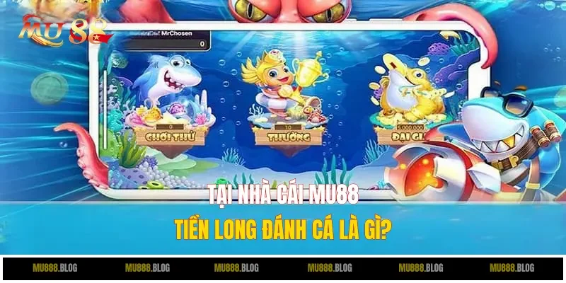 Tiền Long Đánh Cá là gì?