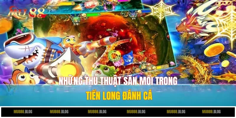 Những thủ thuật săn mồi trong Tiền Long Đánh Cá