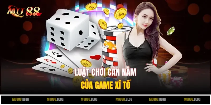 Luật chơi cần nắm của game Xì Tố
