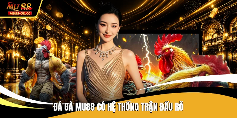 Đá gà MU88 có hệ thống trận đấu rõ